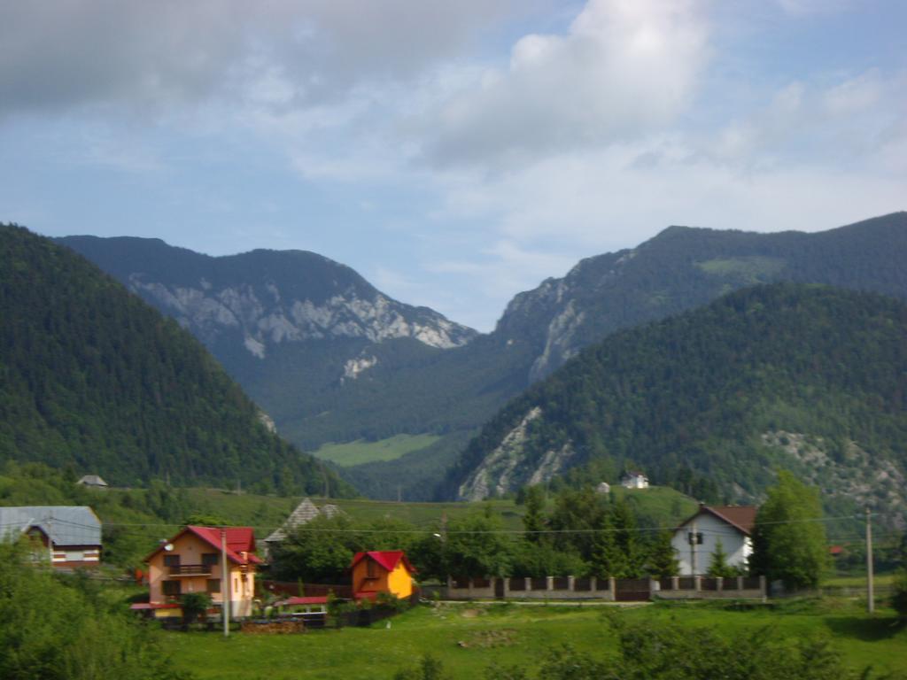 Hotel Garofita Pietrei Craiului Peştera Exteriér fotografie