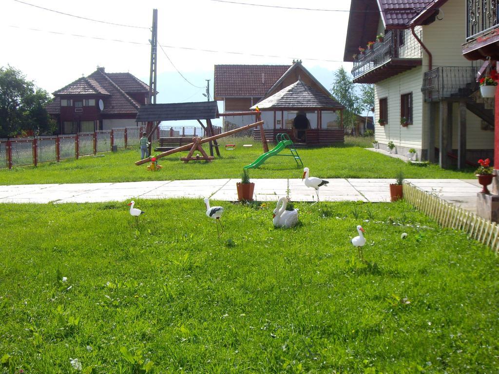 Hotel Garofita Pietrei Craiului Peştera Exteriér fotografie