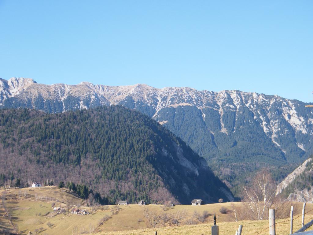 Hotel Garofita Pietrei Craiului Peştera Exteriér fotografie