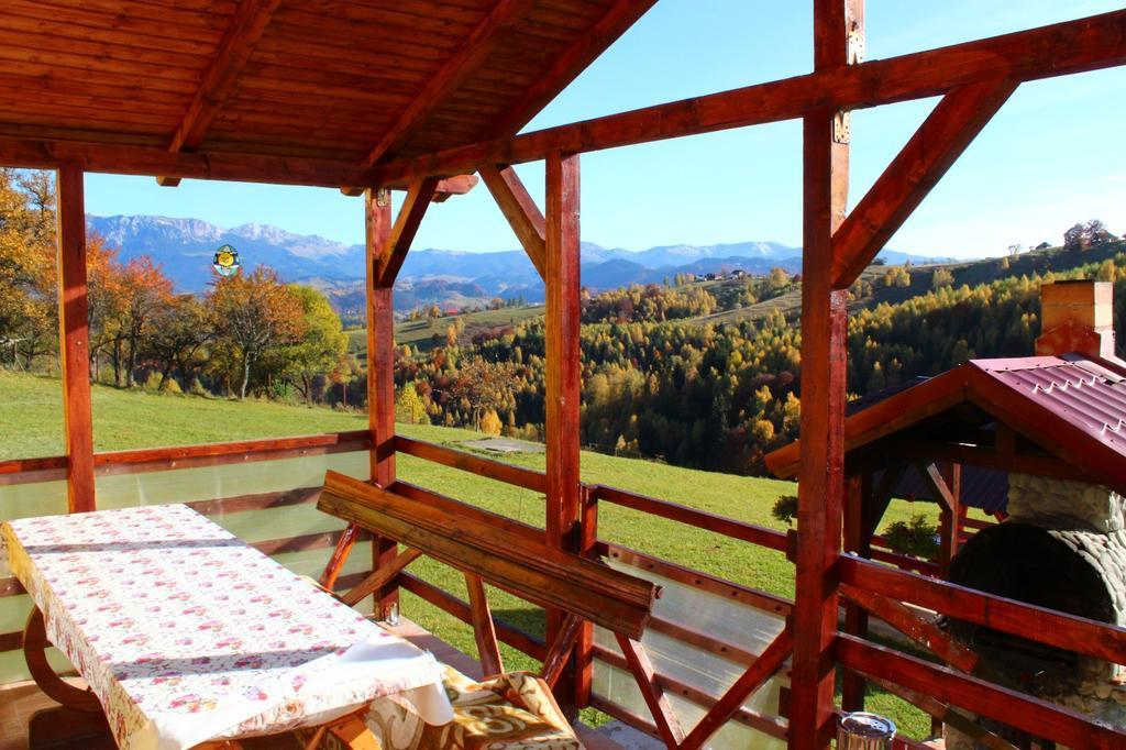 Hotel Garofita Pietrei Craiului Peştera Exteriér fotografie
