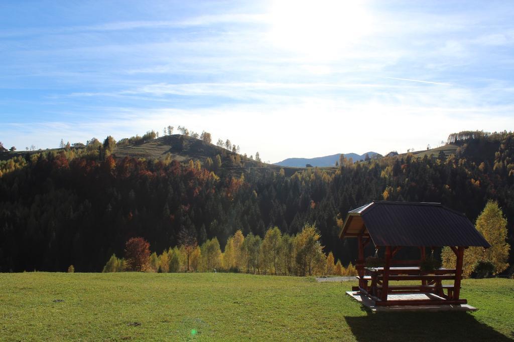 Hotel Garofita Pietrei Craiului Peştera Exteriér fotografie