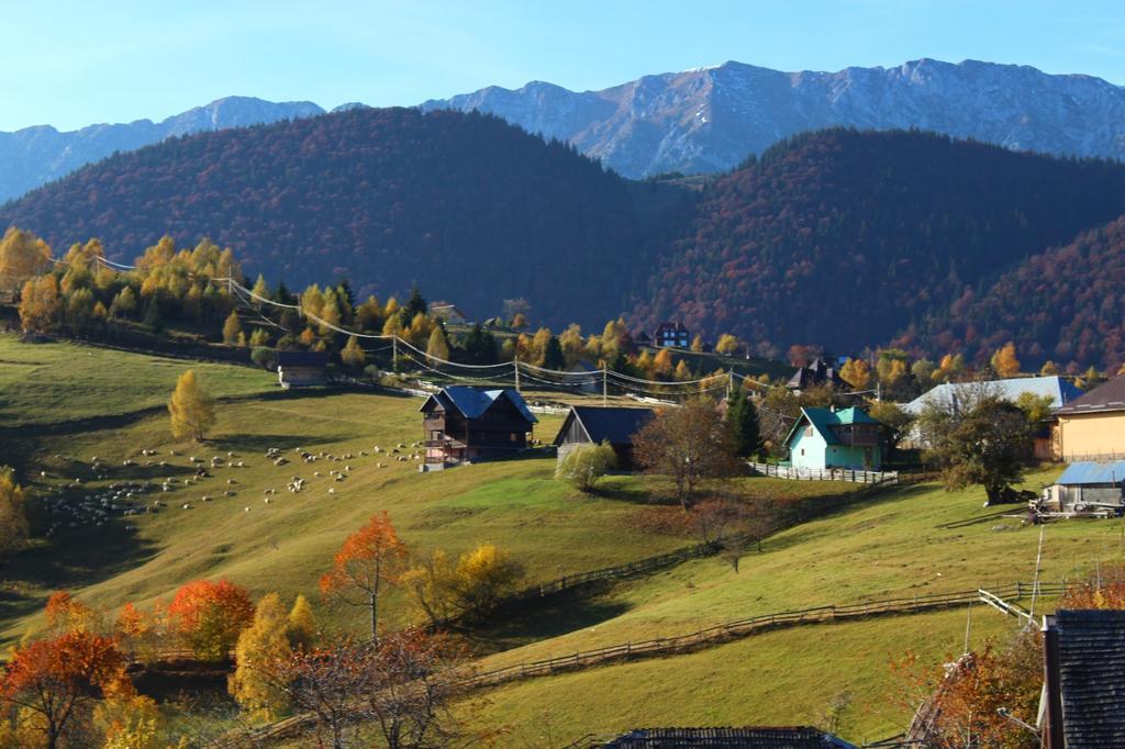 Hotel Garofita Pietrei Craiului Peştera Exteriér fotografie